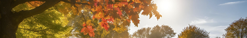 Oktober 2